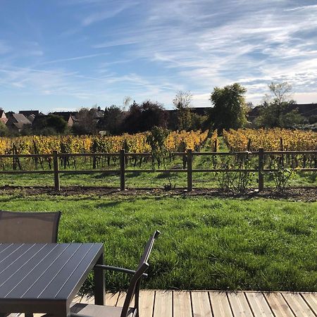 Domaine Rosfelder - Locations De Gite Et Cabane Insolite Gertwiller المظهر الخارجي الصورة