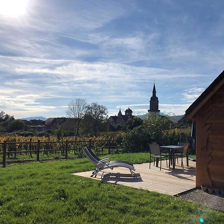 Domaine Rosfelder - Locations De Gite Et Cabane Insolite Gertwiller المظهر الخارجي الصورة