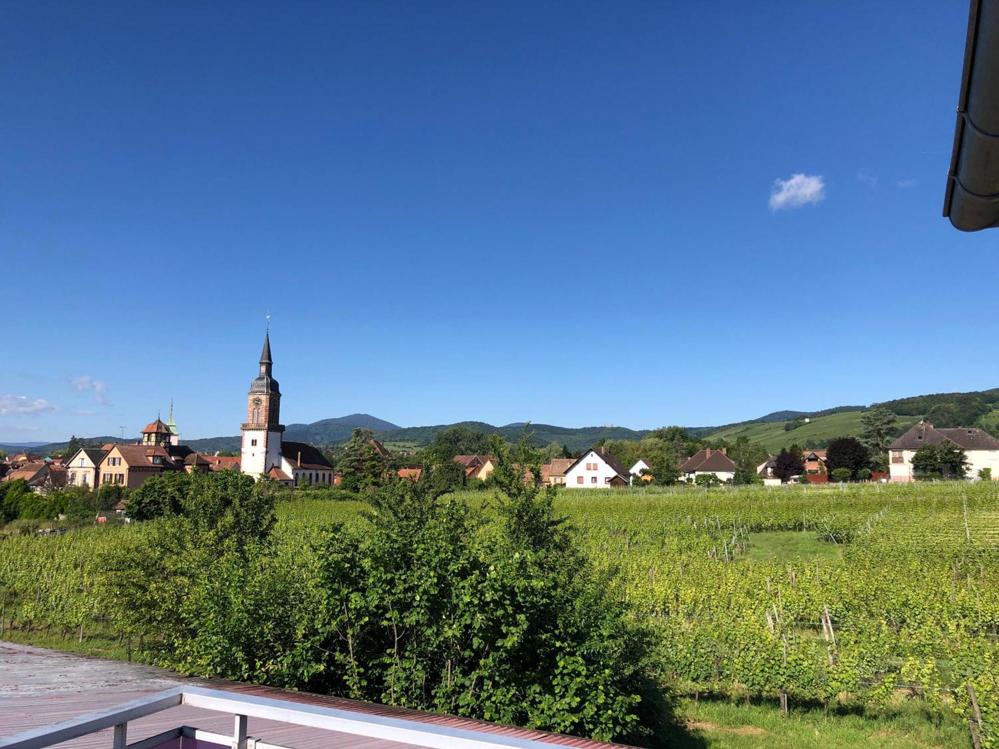 Domaine Rosfelder - Locations De Gite Et Cabane Insolite Gertwiller المظهر الخارجي الصورة
