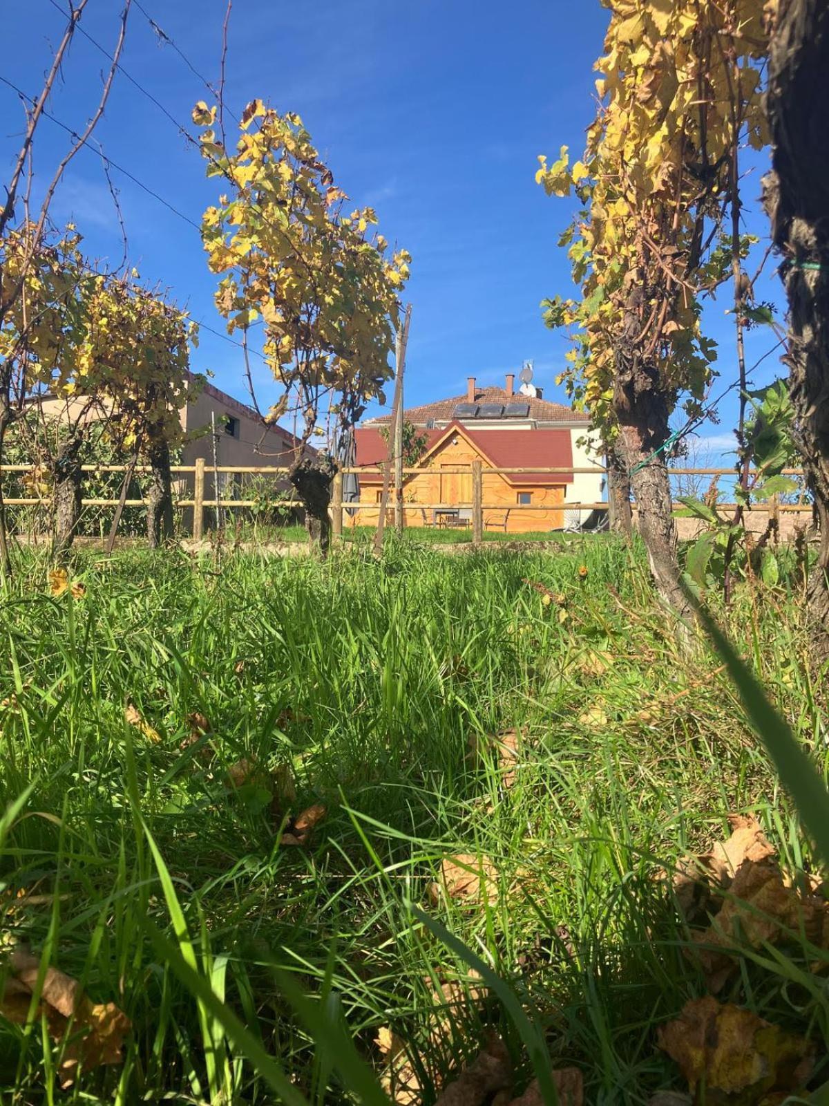Domaine Rosfelder - Locations De Gite Et Cabane Insolite Gertwiller المظهر الخارجي الصورة
