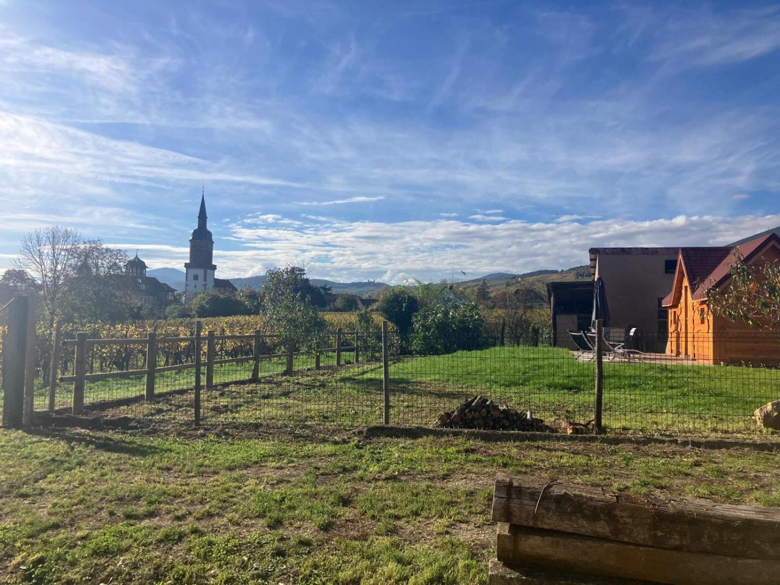 Domaine Rosfelder - Locations De Gite Et Cabane Insolite Gertwiller المظهر الخارجي الصورة
