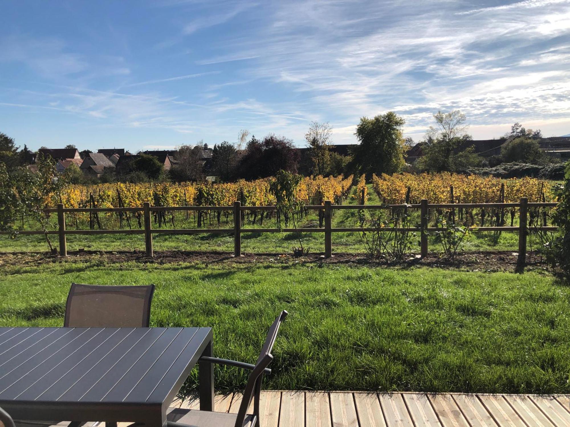Domaine Rosfelder - Locations De Gite Et Cabane Insolite Gertwiller المظهر الخارجي الصورة
